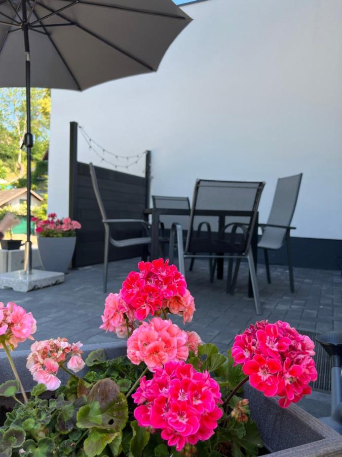 Barrierefreie Ferienwohnung In Winterscheid Nahe Koeln Bonn Bis 4 Personen Mit Netflix Und Mehr Ruppichteroth Exteriör bild